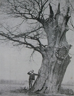 This tree was the last living witness of the bokkenrijder history. The legend says that they gathered here and that the cavity in the tree that was so large that one could put in a table to which four people could sit. This oak (in Kortessem) dated from around 800 and was just about the oldest tree in the country. In 1859 this tree after a heavy autumn storm was torn in half.